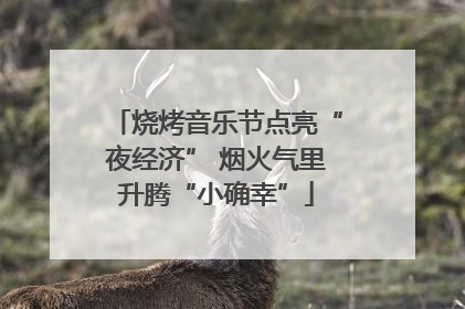 烧烤音乐节点亮“夜经济” 烟火气里升腾“小确幸”