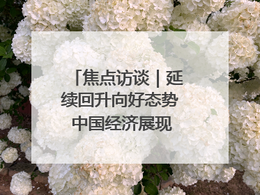 焦点访谈｜延续回升向好态势 中国经济展现韧性与活力