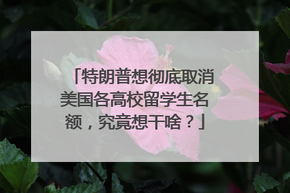 特朗普想彻底取消美国各高校留学生名额，究竟想干啥？