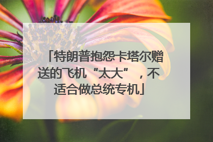 特朗普抱怨卡塔尔赠送的飞机“太大”，不适合做总统专机