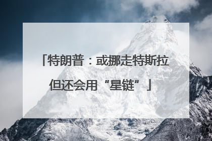 特朗普：或挪走特斯拉 但还会用“星链”