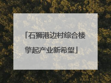 石狮港边村综合楼擎起产业新希望
