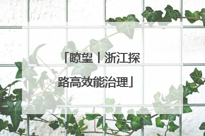 瞭望丨浙江探路高效能治理