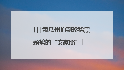 甘肃瓜州拍到珍稀黑颈鹤的“安家照”
