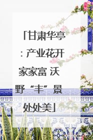 甘肃华亭：产业花开家家富 沃野“丰”景处处美