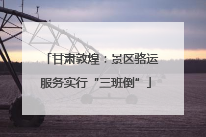 甘肃敦煌：景区骆运服务实行“三班倒”