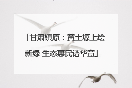 甘肃镇原：黄土塬上绘新绿 生态惠民谱华章