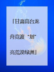 甘肃高台龙舟竞渡“划”亮荒漠绿洲