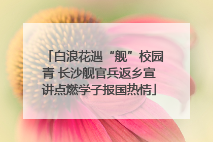 白浪花遇“舰”校园青 长沙舰官兵返乡宣讲点燃学子报国热情