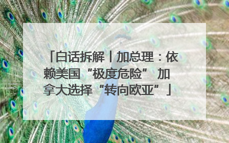 白话拆解丨加总理：依赖美国“极度危险” 加拿大选择“转向欧亚”