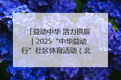 益动中华 活力拱辰｜2025“中华益动行”社区体育活动（北京站）盛大启动