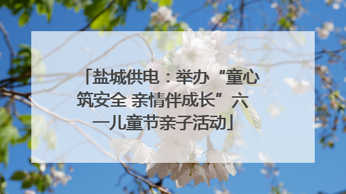 盐城供电：举办“童心筑安全 亲情伴成长”六一儿童节亲子活动