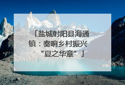 盐城射阳县海通镇：奏响乡村振兴“夏之华章”