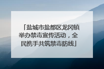 盐城市盐都区龙冈镇举办禁毒宣传活动，全民携手共筑禁毒防线