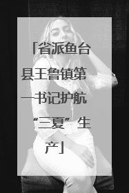 省派鱼台县王鲁镇第一书记护航“三夏”生产