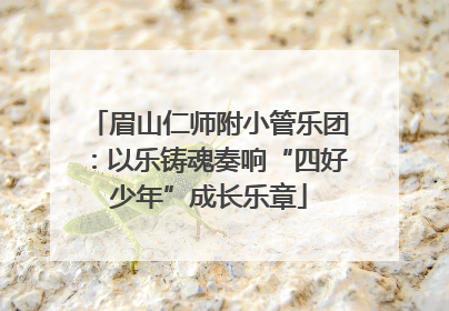 眉山仁师附小管乐团：以乐铸魂奏响“四好少年”成长乐章