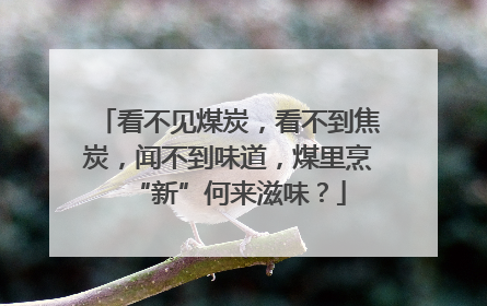 看不见煤炭，看不到焦炭，闻不到味道，煤里烹“新”何来滋味？
