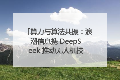算力与算法共振：浪潮信息携 DeepSeek 推动无人机技术在舟山落地
