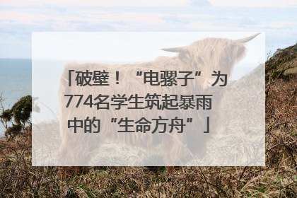 破壁！“电骡子”为774名学生筑起暴雨中的“生命方舟”