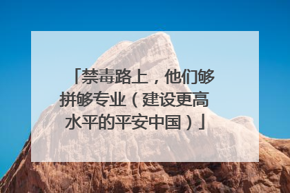 禁毒路上，他们够拼够专业（建设更高水平的平安中国）
