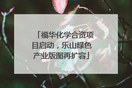福华化学合资项目启动，乐山绿色产业版图再扩容