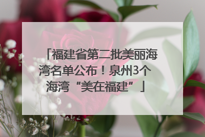 福建省第二批美丽海湾名单公布！泉州3个海湾“美在福建”