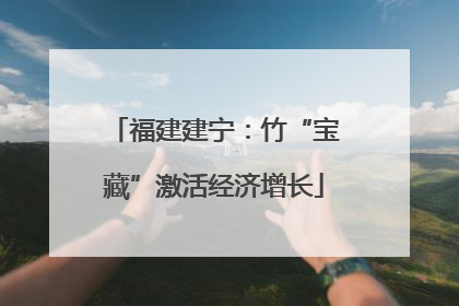 福建建宁：竹“宝藏”激活经济增长