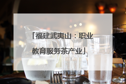 福建武夷山：职业教育服务茶产业
