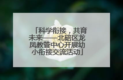 科学衔接，共育未来——北碚区龙凤教管中心开展幼小衔接交流活动