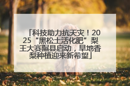 科技助力抗天灾！2025“黑松土活化肥”梨王大赛隰县启动，旱地香梨种植迎来新希望