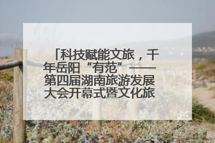 科技赋能文旅，千年岳阳“有范”——第四届湖南旅游发展大会开幕式暨文化旅游推介会侧记