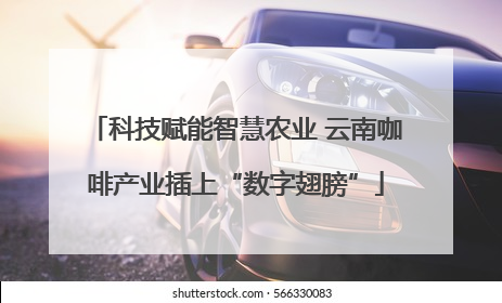 科技赋能智慧农业 云南咖啡产业插上“数字翅膀”