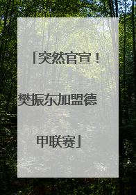 突然官宣！樊振东加盟德甲联赛