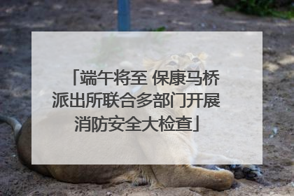 端午将至 保康马桥派出所联合多部门开展消防安全大检查