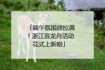 端午氛围感拉满！浙江赛龙舟活动花式上新啦