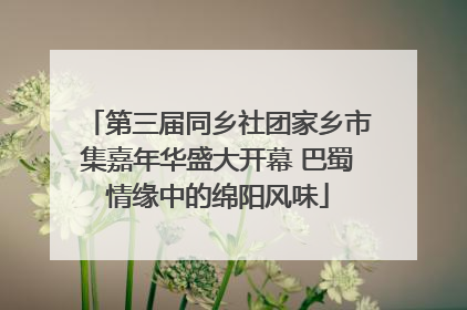 第三届同乡社团家乡市集嘉年华盛大开幕 巴蜀情缘中的绵阳风味