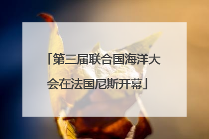 第三届联合国海洋大会在法国尼斯开幕