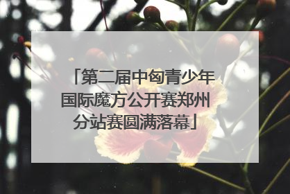 第二届中匈青少年国际魔方公开赛郑州分站赛圆满落幕