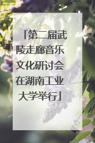 第二届武陵走廊音乐文化研讨会在湖南工业大学举行