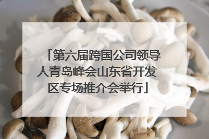 第六届跨国公司领导人青岛峰会山东省开发区专场推介会举行