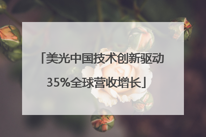 美光中国技术创新驱动35%全球营收增长