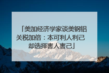 美加经济学家谈美钢铝关税加倍：本可利人利己 却选择害人害己