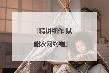 精耕细作 赋能农网终端