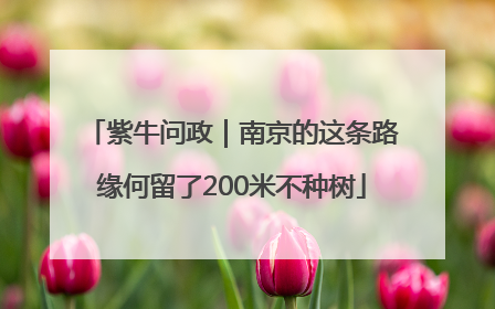 紫牛问政｜南京的这条路缘何留了200米不种树