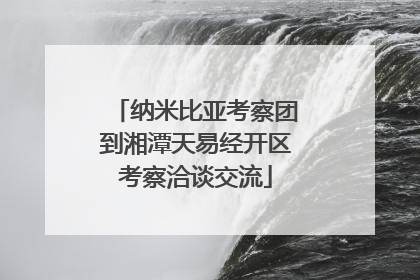 纳米比亚考察团到湘潭天易经开区考察洽谈交流