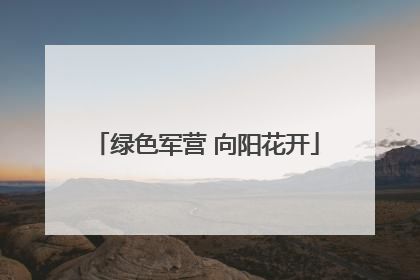 绿色军营 向阳花开