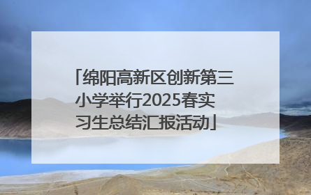 绵阳高新区创新第三小学举行2025春实习生总结汇报活动