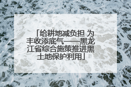 给耕地减负担 为丰收添底气——黑龙江省综合施策推进黑土地保护利用
