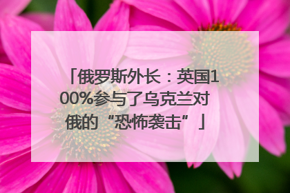俄罗斯外长：英国100%参与了乌克兰对俄的“恐怖袭击”