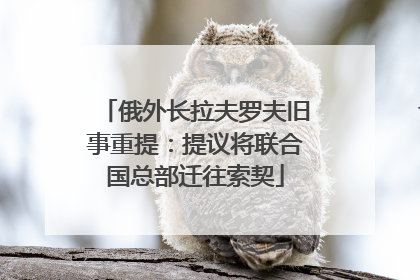 俄外长拉夫罗夫旧事重提：提议将联合国总部迁往索契